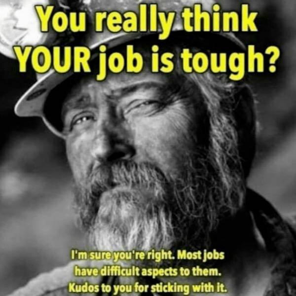 Truthful Memes (20 pics)
