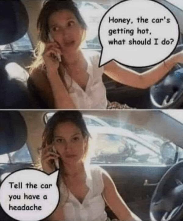 Truthful Memes (20 pics)