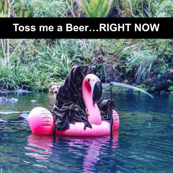 Truthful Memes (20 pics)