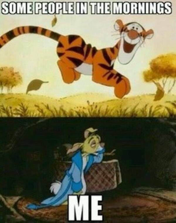 Truthful Memes (20 pics)