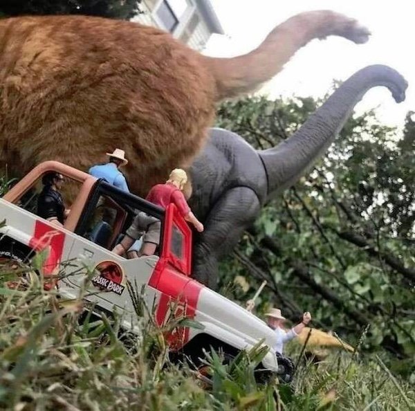 Optical Illusions (31 pics)