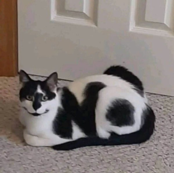 Optical Illusions (31 pics)