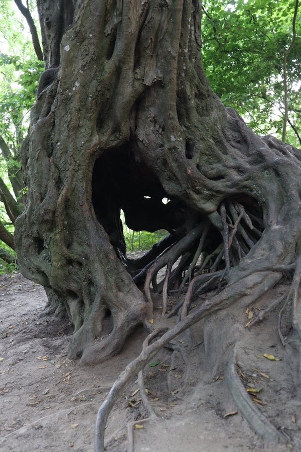 Optical Illusions (31 pics)