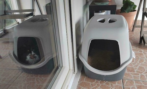 Optical Illusions (31 pics)