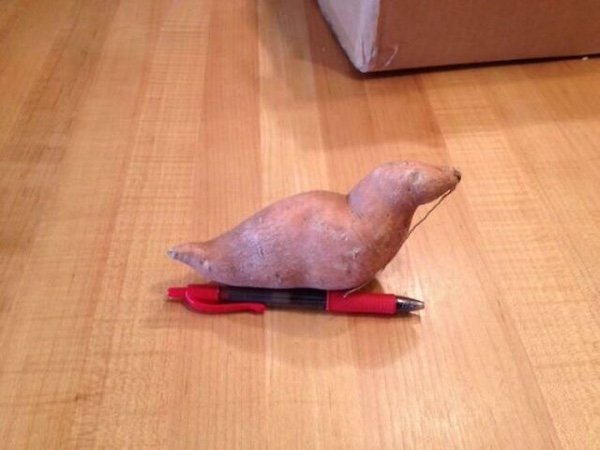 Optical Illusions (31 pics)