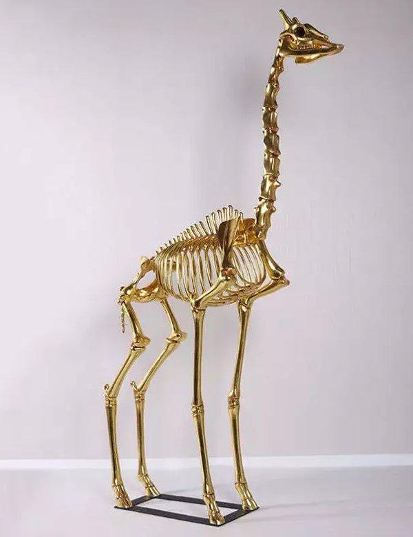 Strange Designs And Construcitons (23 pics)