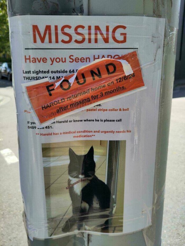 Interesting And Unusual Finds (24 pics)