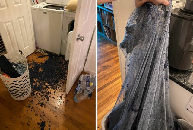 Failed Online Shopping (25 pics)