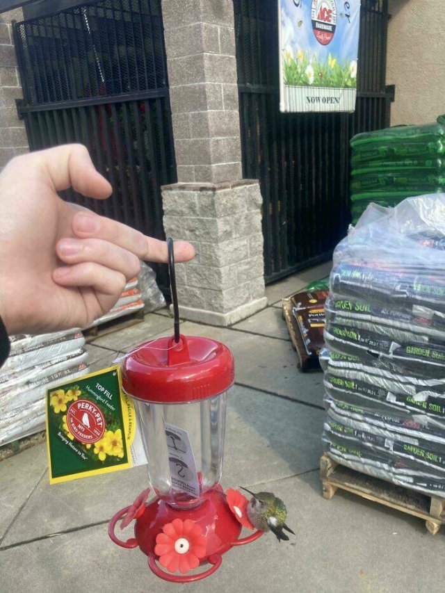 Interesting And Unusual Finds (24 pics)
