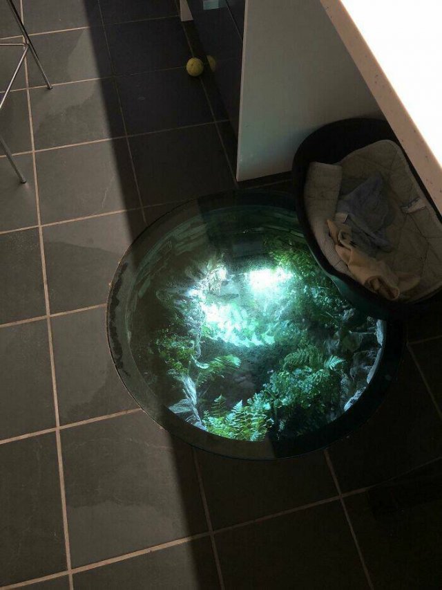 Interesting And Unusual Finds (24 pics)