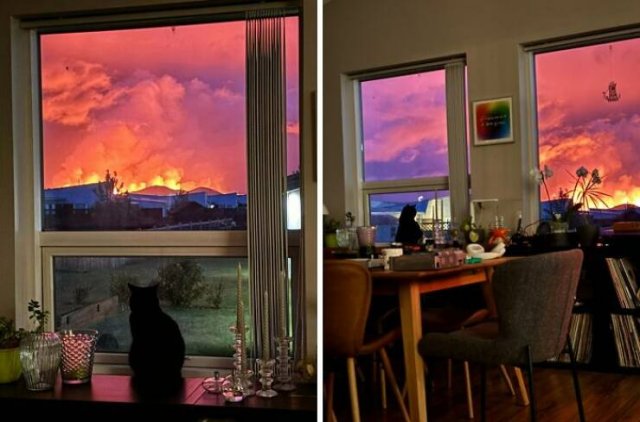Interesting And Unusual Finds (24 pics)