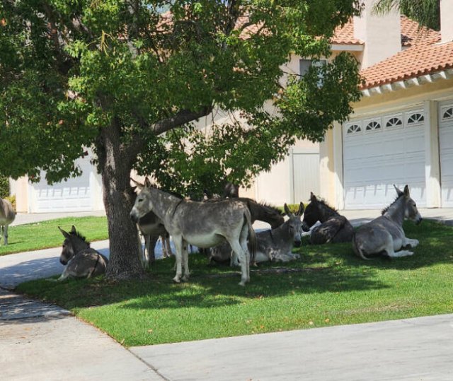 Interesting And Unusual Finds (24 pics)
