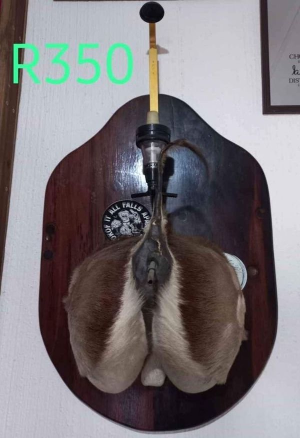 What Is Going On Here? (31 pics)