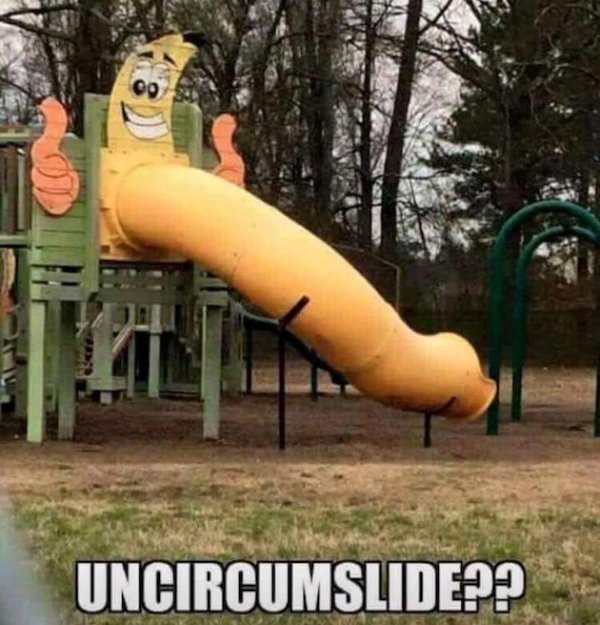What Is Going On Here? (31 pics)
