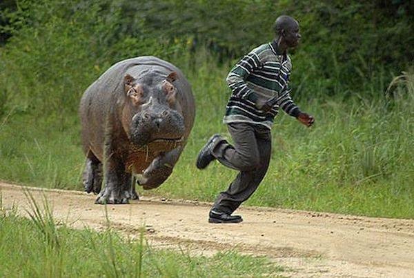 What Is Going On Here? (31 pics)