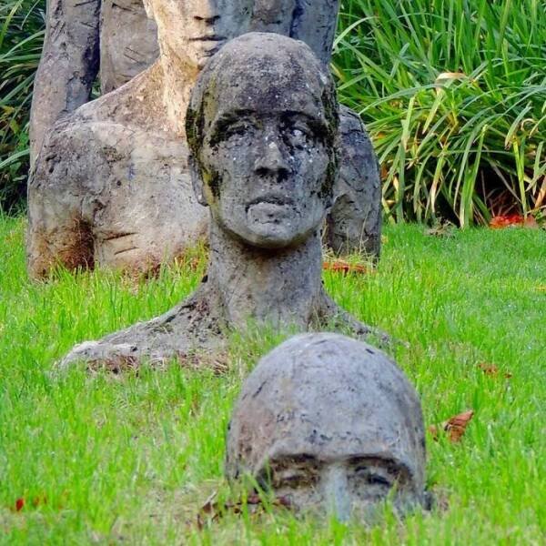 Photos For Gardeners (25 pics)