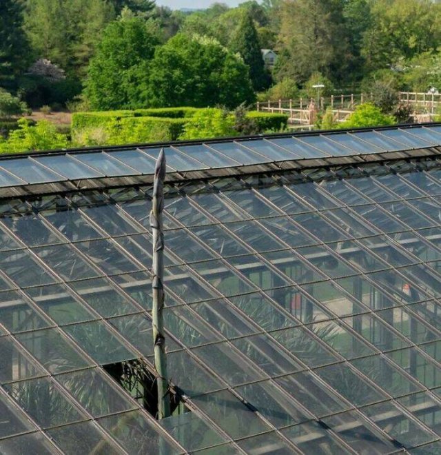 Photos For Gardeners (25 pics)