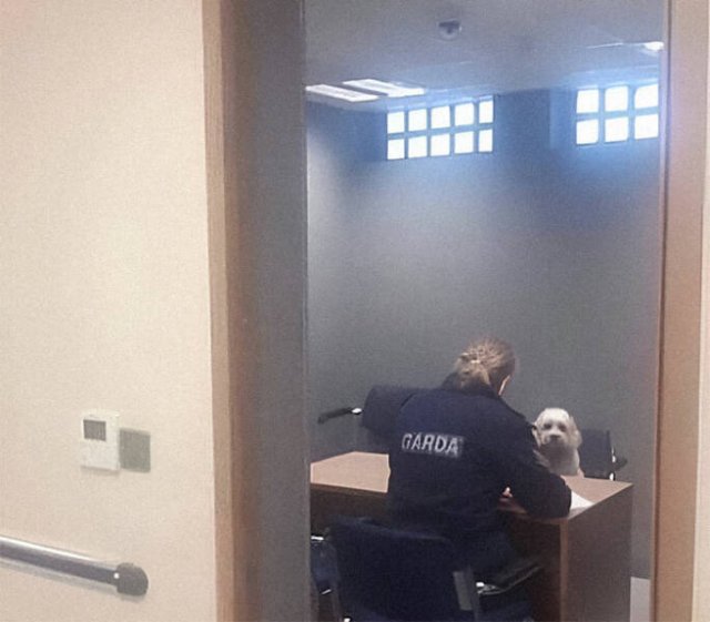 Fascinating But Strange Photos (21 pics)