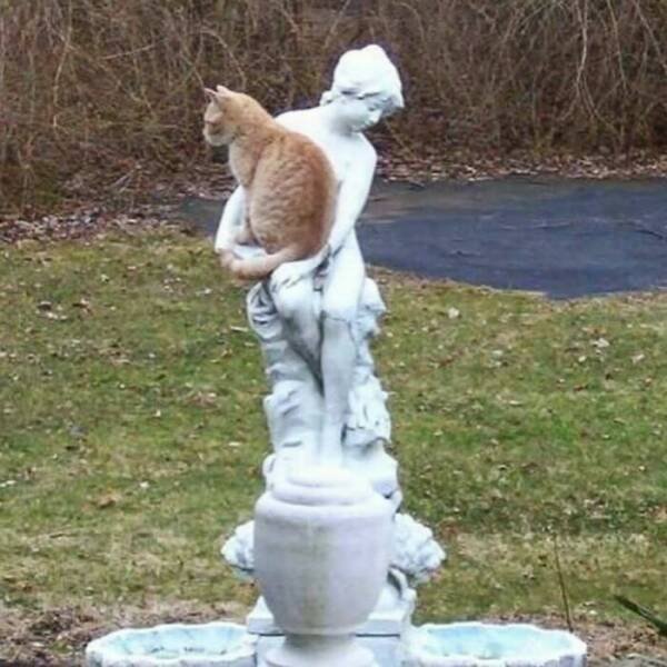 Photos For Gardeners (25 pics)