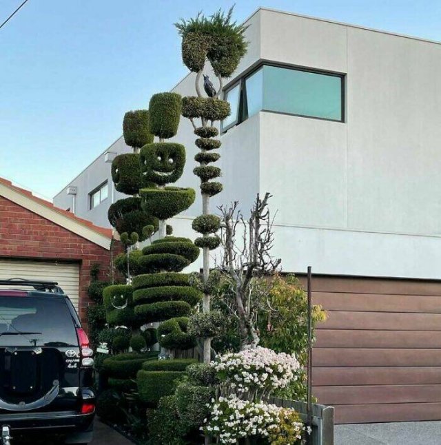 Photos For Gardeners (25 pics)