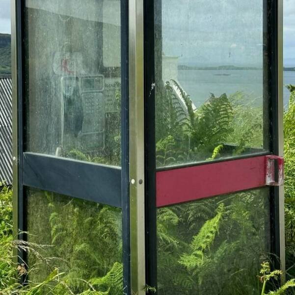 Photos For Gardeners (25 pics)