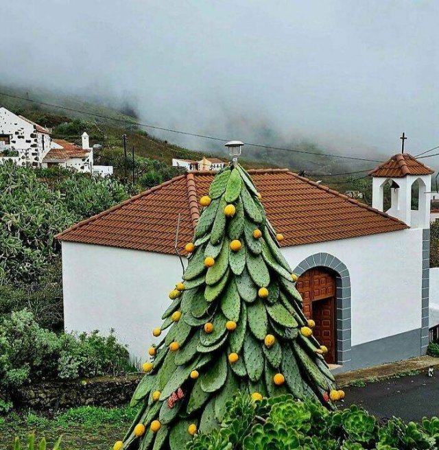 Photos For Gardeners (25 pics)