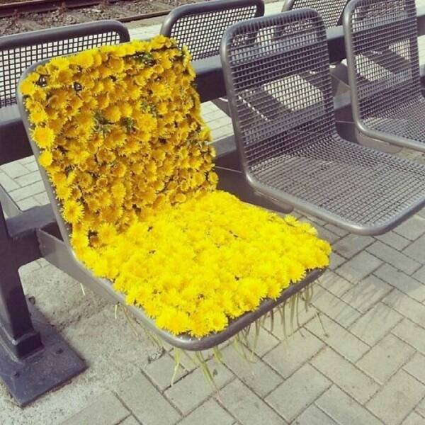 Photos For Gardeners (25 pics)