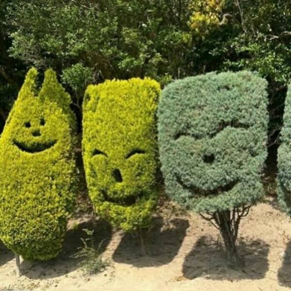 Photos For Gardeners (25 pics)