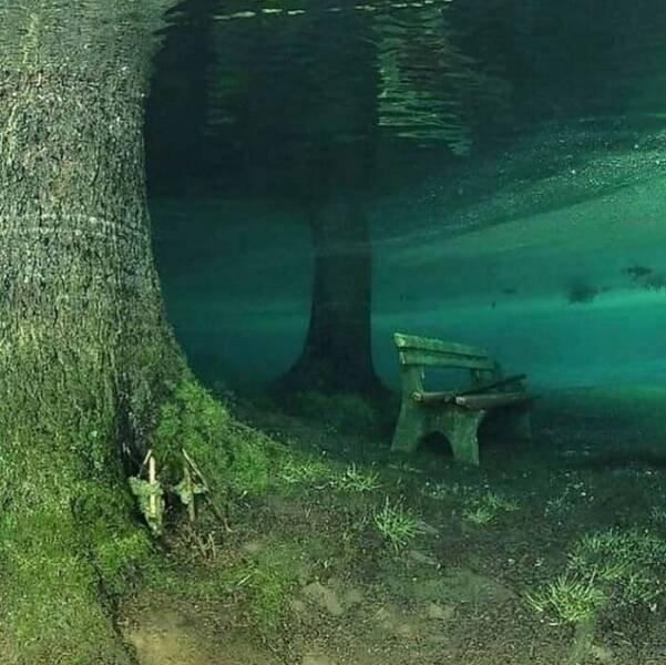 Photos For Gardeners (25 pics)