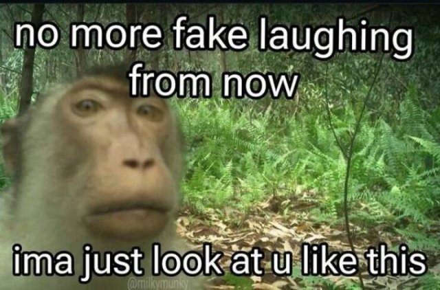 Truthful Memes (20 pics)