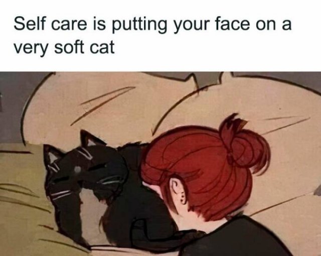Jokes For Cat Lovers (23 pics)