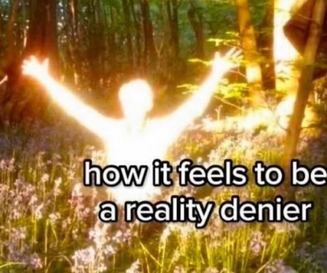 Truthful Memes (20 pics)