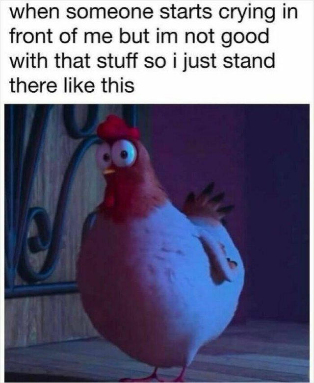 Truthful Memes (20 pics)