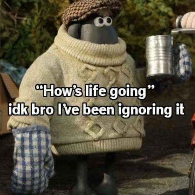 Truthful Memes (20 pics)
