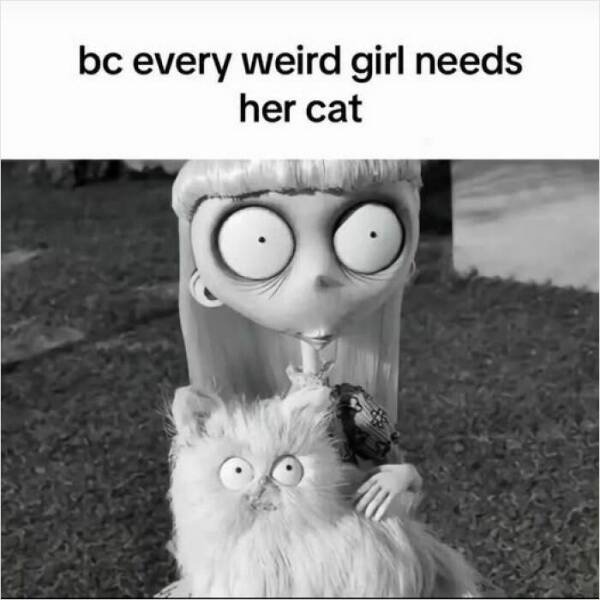 Truthful Memes (20 pics)
