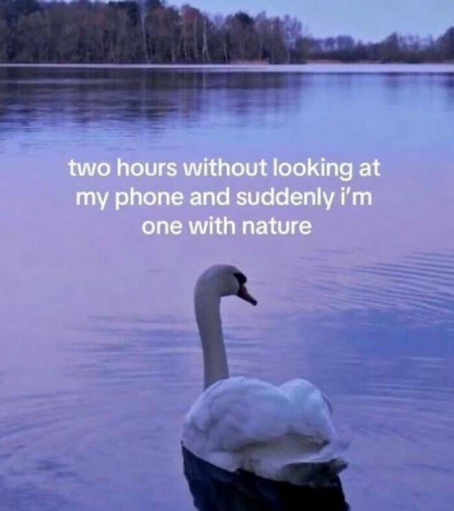 Truthful Memes (20 pics)