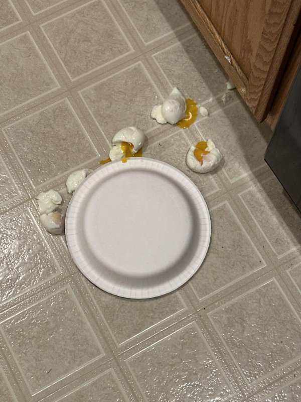 Bad Days Happen (24 pics)