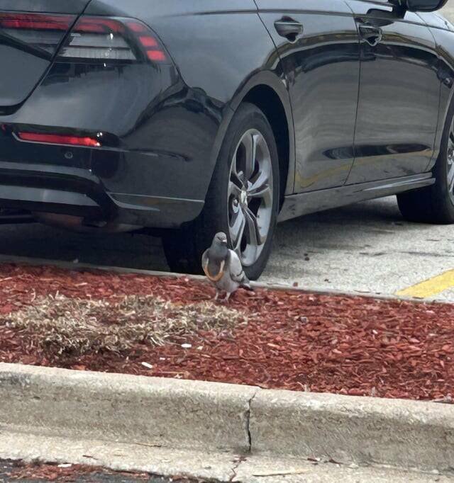 Interesting Finds (20 pics)