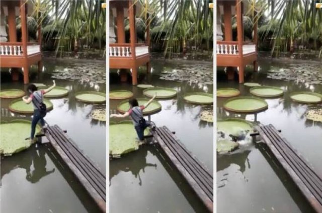 Unsuccessful But Useful Life Experience (16 pics)
