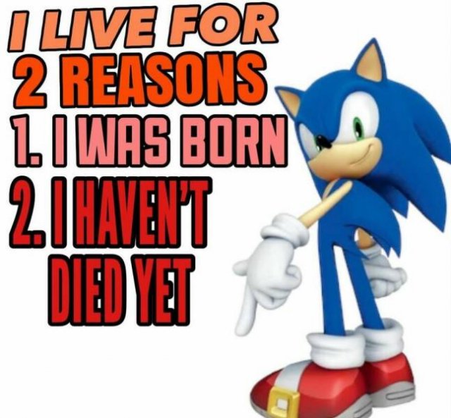 Truthful Memes (25 pics)