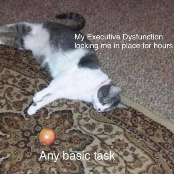 Truthful Memes (25 pics)