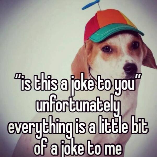 Truthful Memes (25 pics)