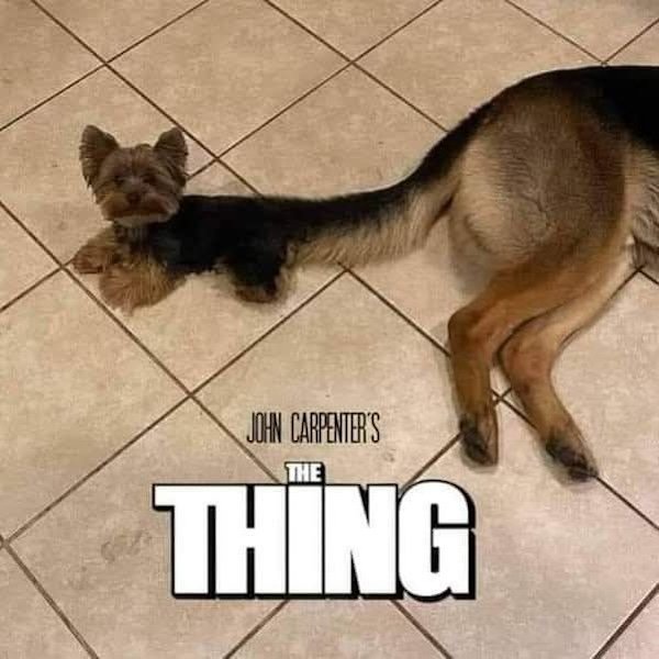 Memes For Movie Fans (29 pics)