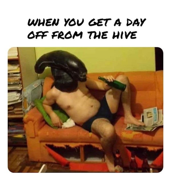 Memes For Movie Fans (29 pics)