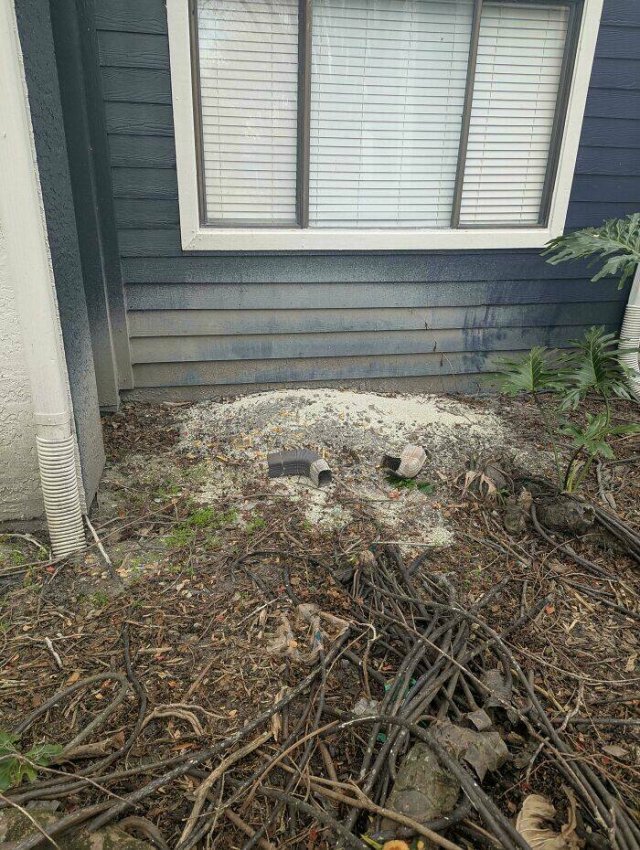 Annoying Neighbors (21 pics)
