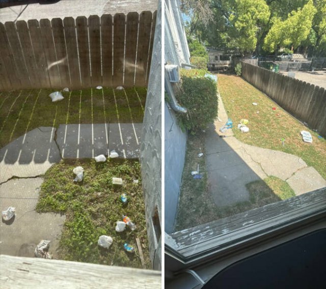 Annoying Neighbors (21 pics)