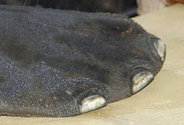 Interesting Finds From Around The World (23 pics)