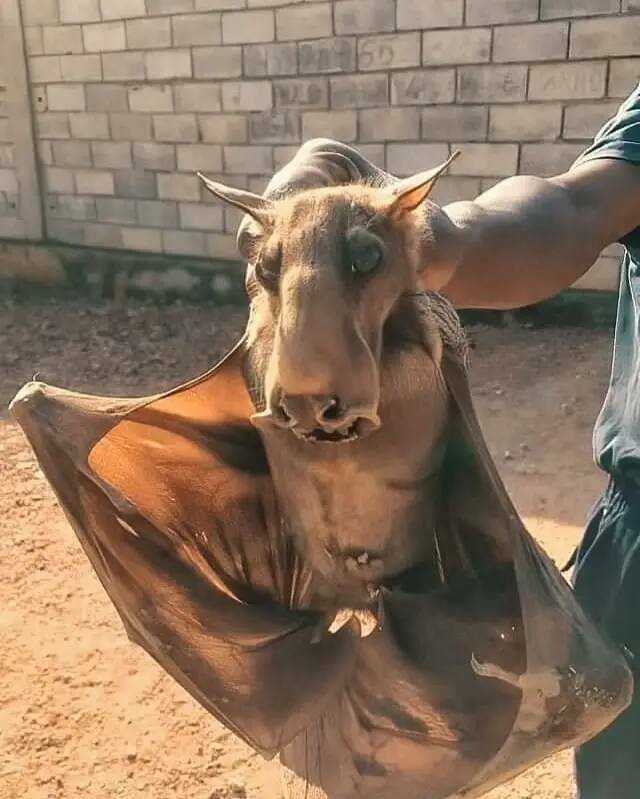 Interesting Finds From Around The World (23 pics)