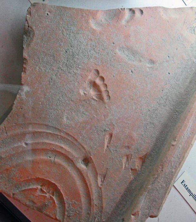 Interesting Finds From Around The World (23 pics)