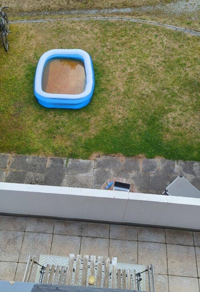Annoying Neighbors (21 pics)
